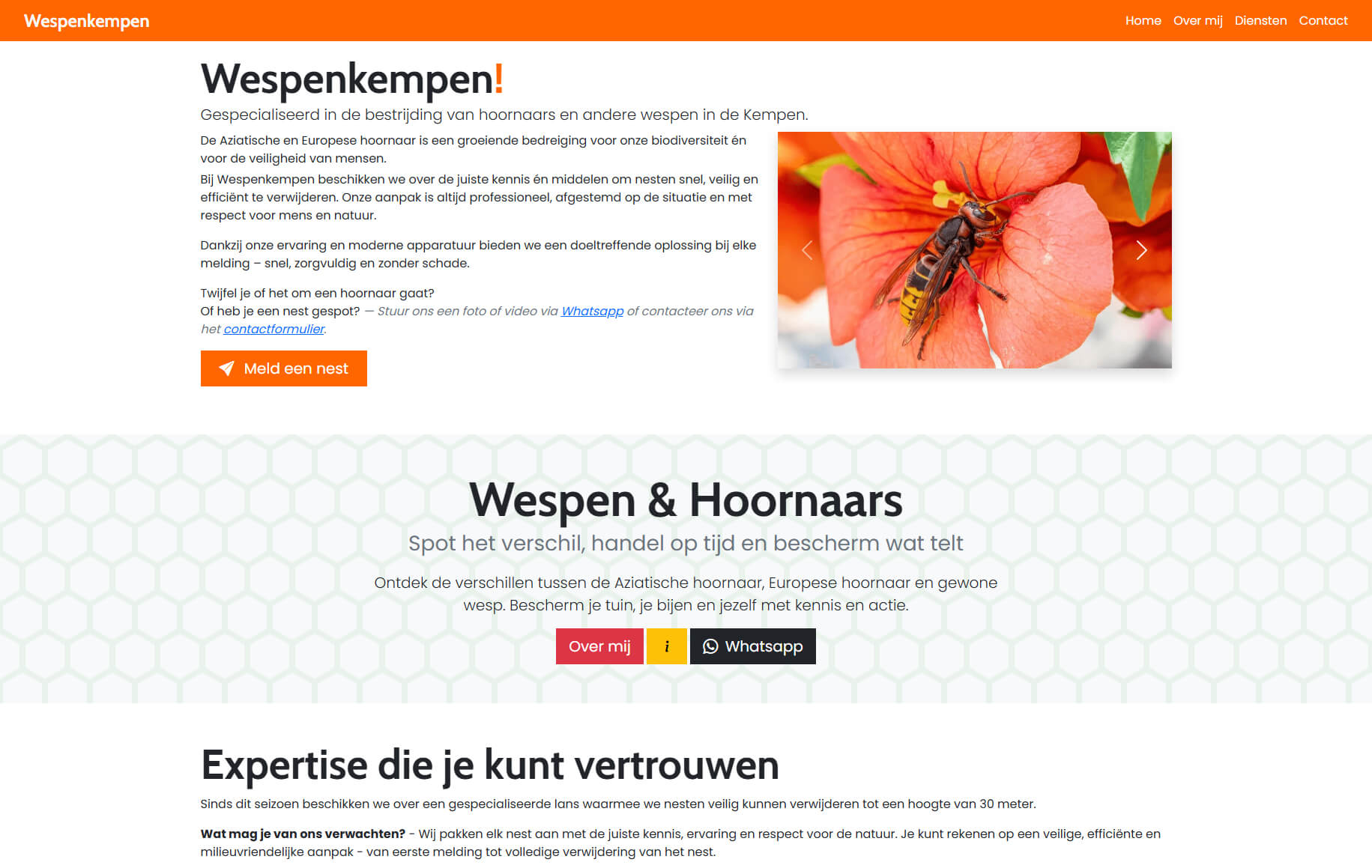 Wespenkempen website